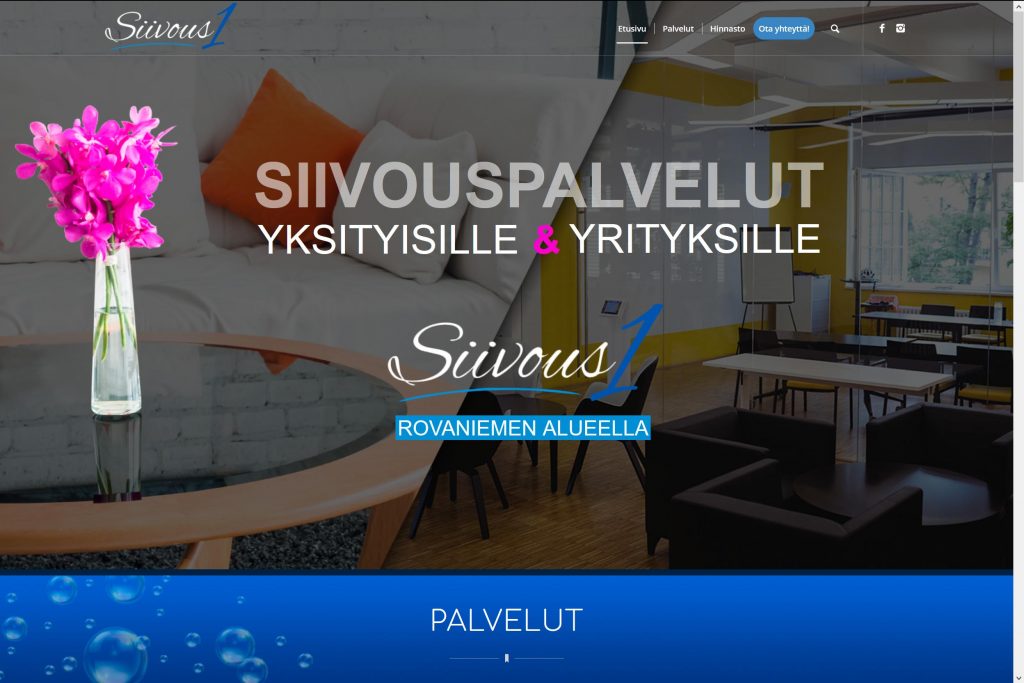 Siivous1